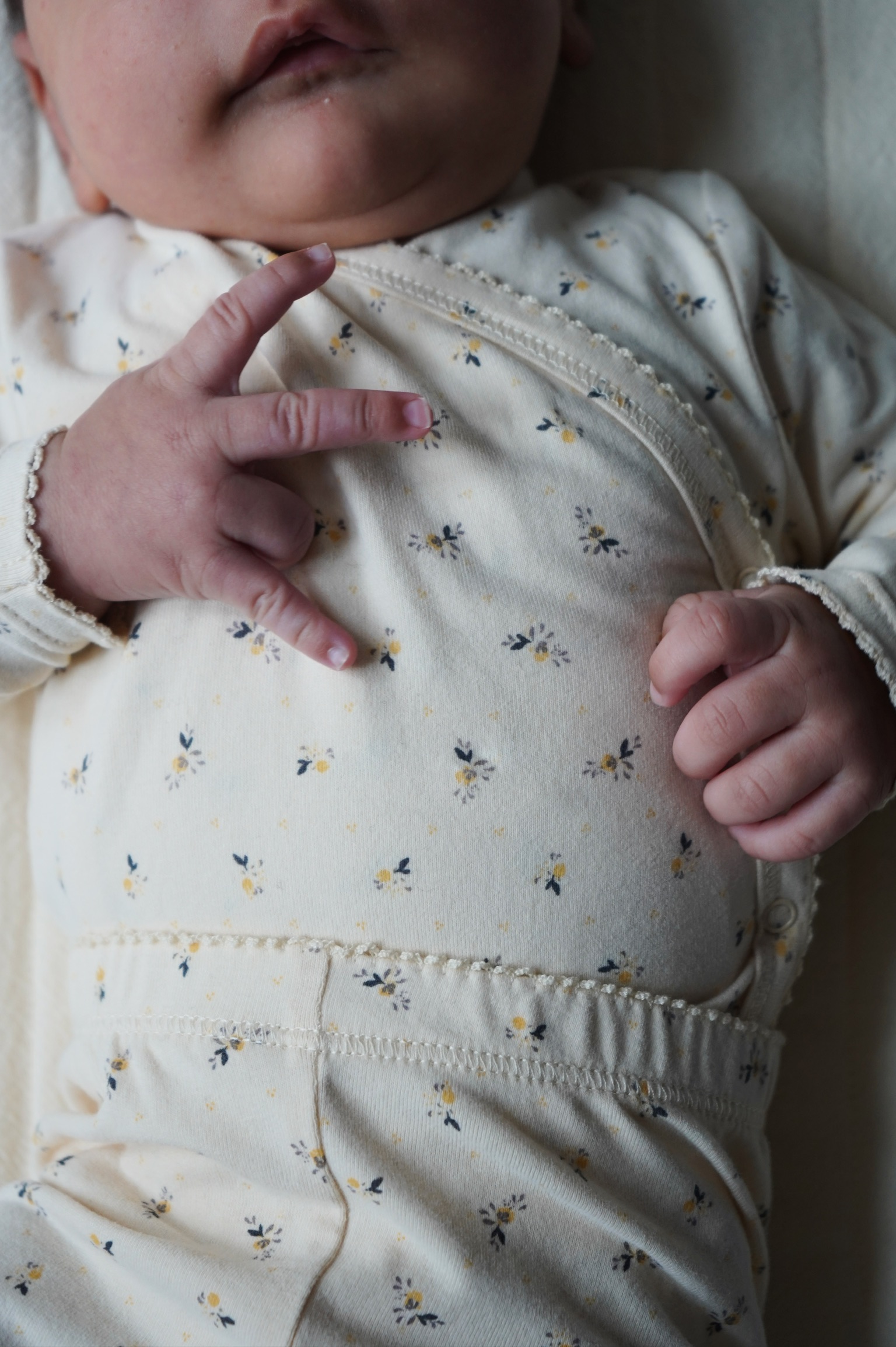 Body Pétales – Konges Slojd – Image 3