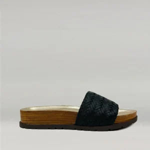 Mules Ann Tuil Acacia