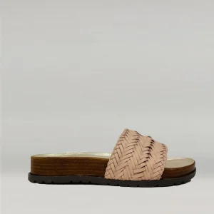 Mules Ann Tuil Acacia