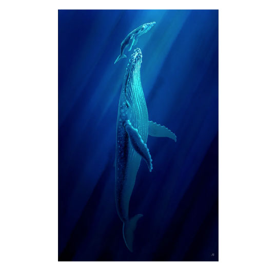 Affiche d’art « Baleineau à bosses » – Sergeant Paper – Image 3