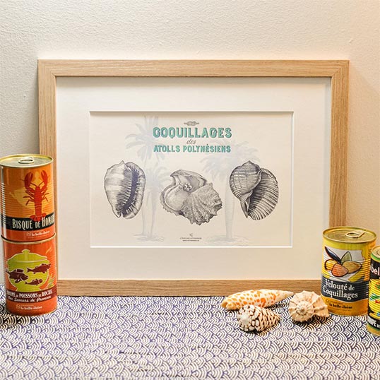 Affiche « Coquillages des atolls polynésiens » – L’Atelier Letterpress – Image 2