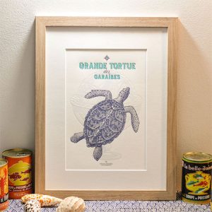 Affiche « Grande tortue des Caraïbes » – L’Atelier Letterpress