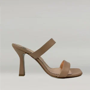 Mule Ann Tuil Arexas